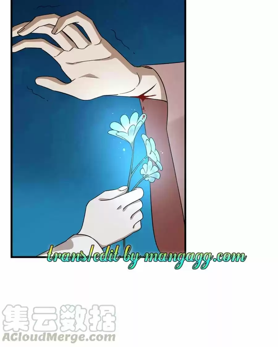 Queen Of Posion: The Legend Of A Super Agent, Doctor And Princess Chapter 214