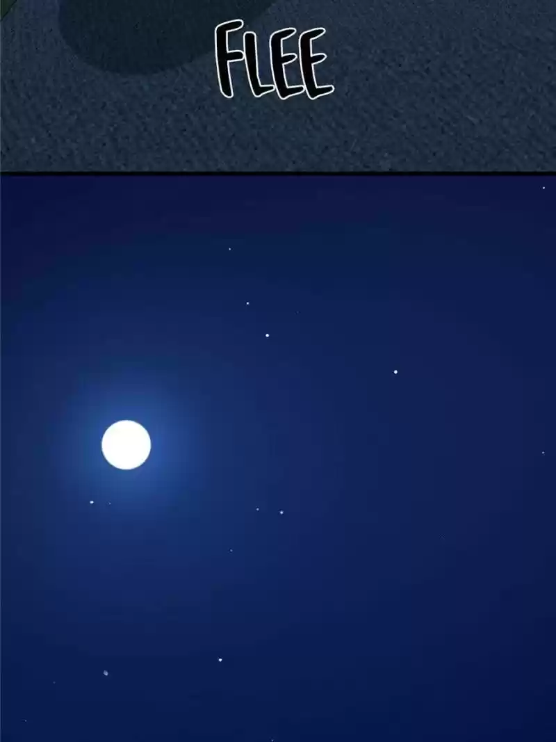 Queen Of Posion: The Legend Of A Super Agent, Doctor And Princess Chapter 217