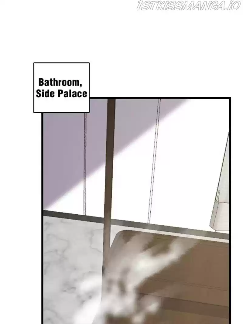 Queen Of Posion: The Legend Of A Super Agent, Doctor And Princess Chapter 247