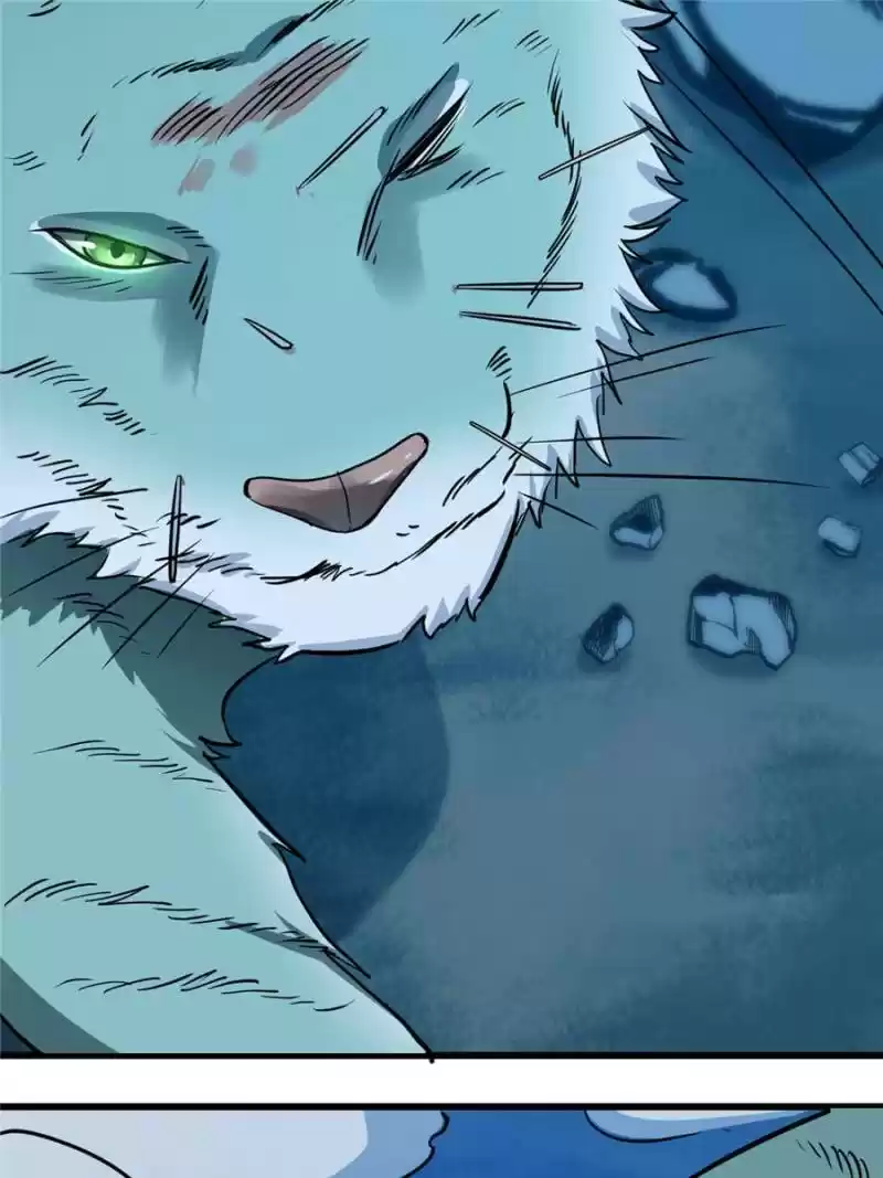 Queen Of Posion: The Legend Of A Super Agent, Doctor And Princess Chapter 33