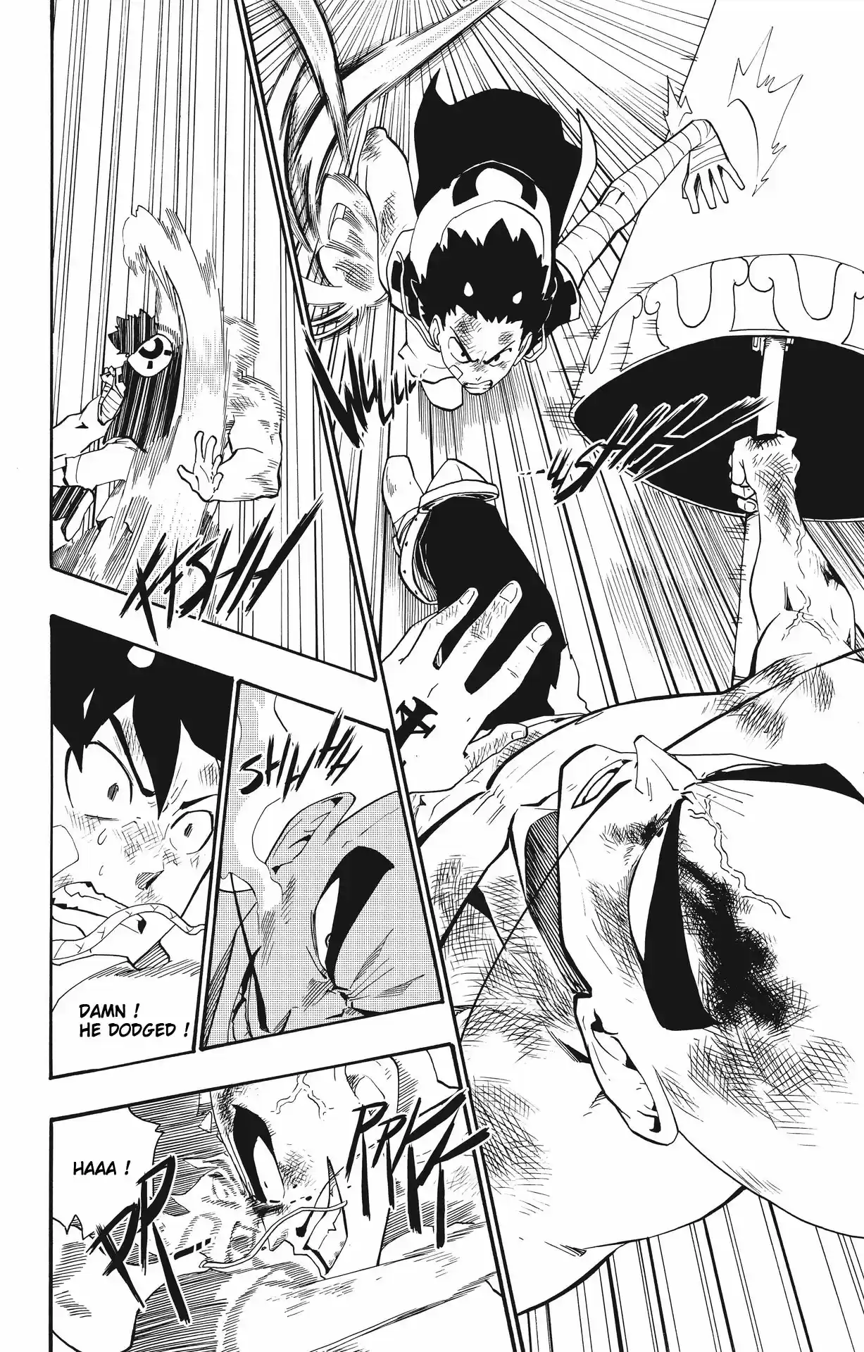 Radiant Vol. 3 Ch. 14 Execution