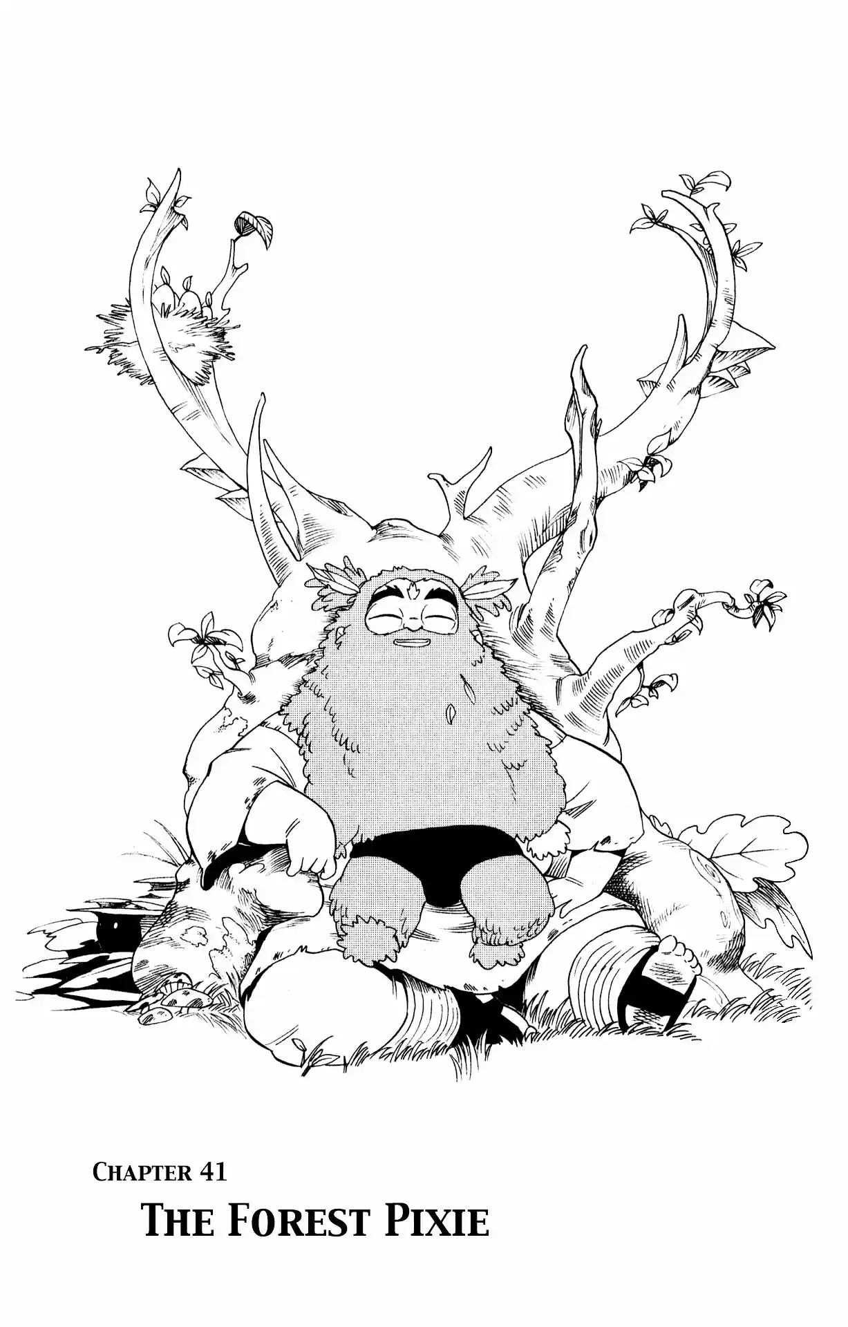 Radiant Vol. 6 Ch. 41 The Forest Pixie