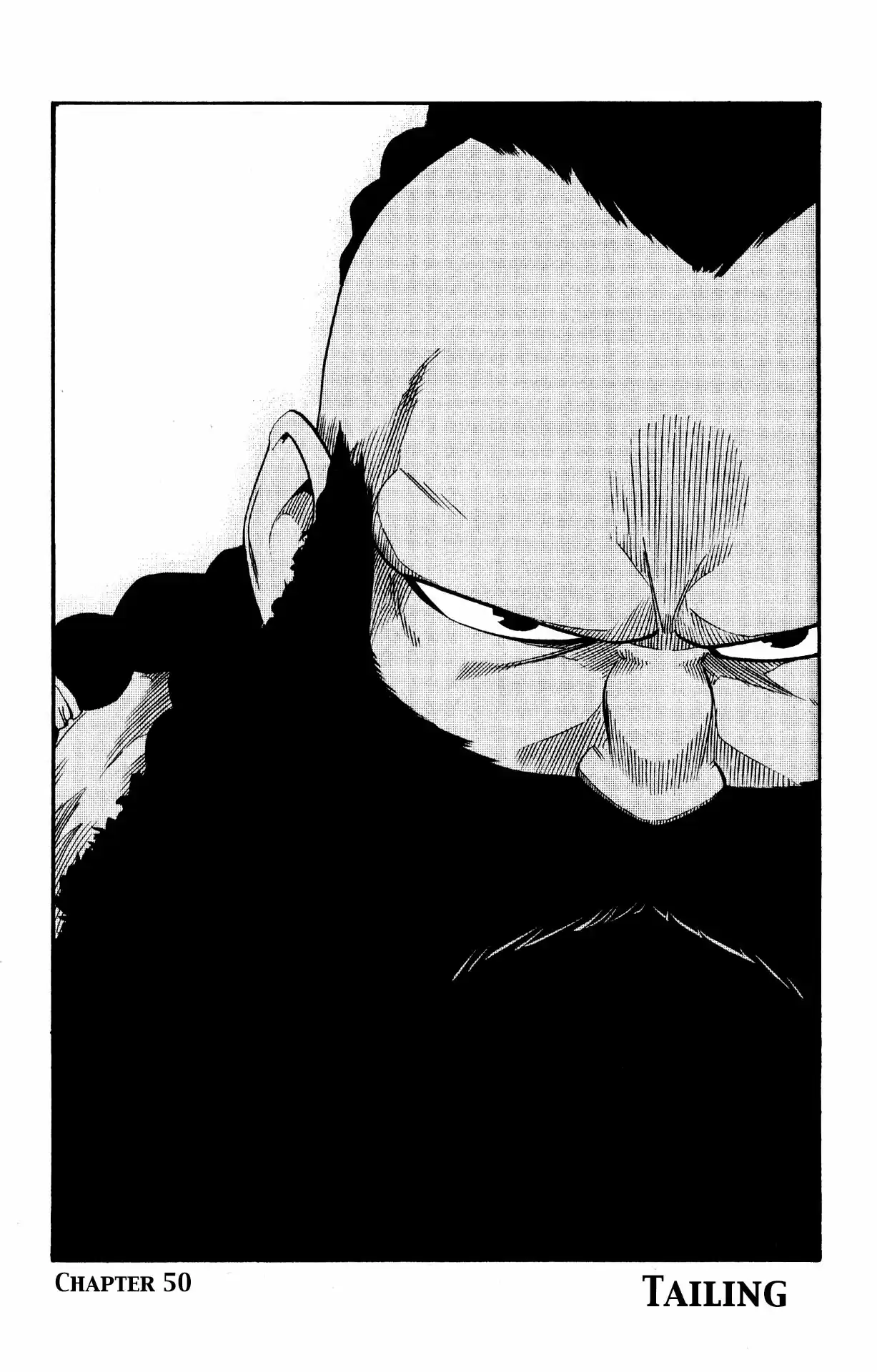 Radiant Vol. 7 Ch. 50 Tailing