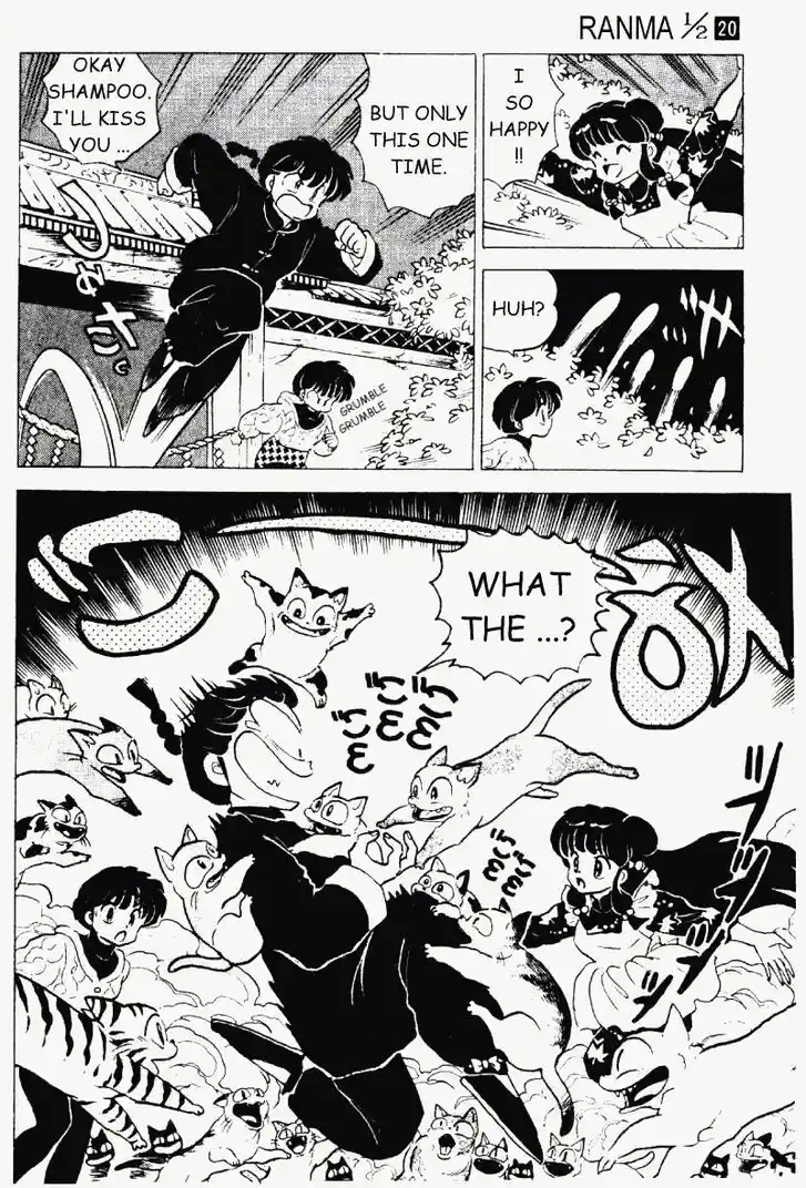 Ranma 1/2 dj - Kero Hon Vol.20 Ch.208