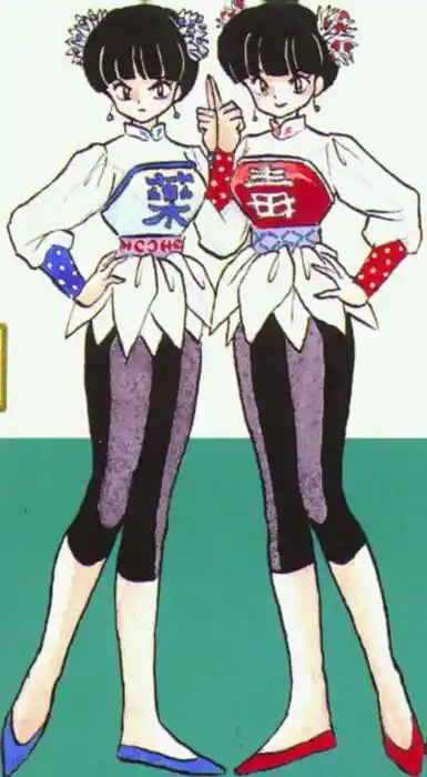 Ranma 1/2 dj - Kero Hon Vol.29 Ch.311