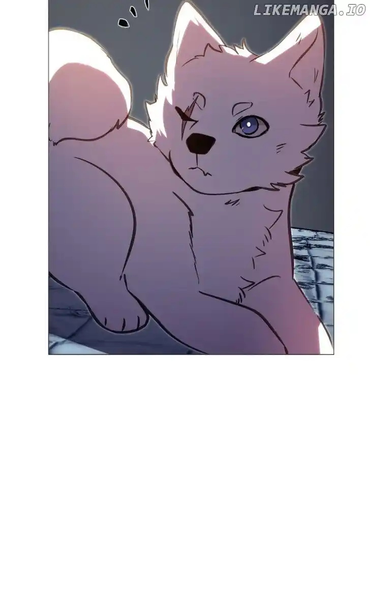 Rebirth-69michi Ch.238