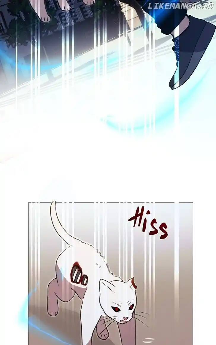 Rebirth-69michi Ch.243