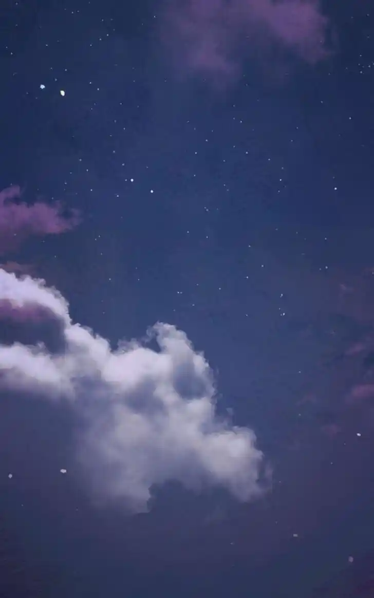 Rebirth-69michi Ch.247