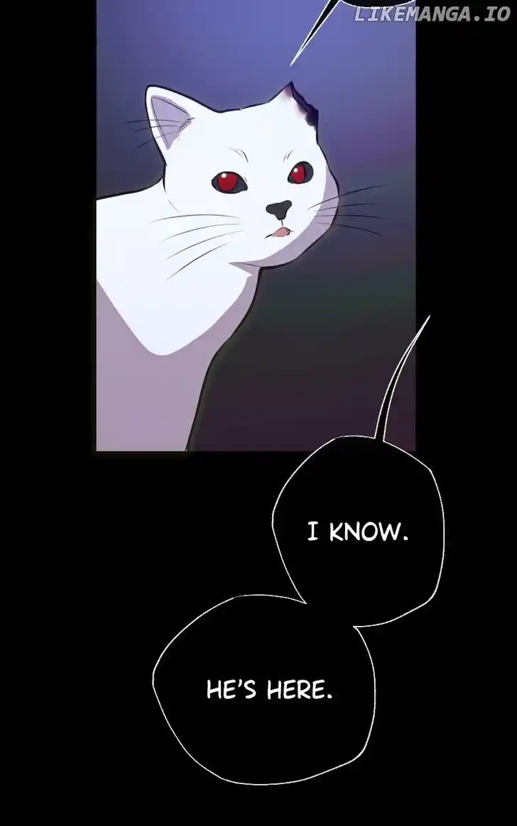 Rebirth-69michi Ch.249