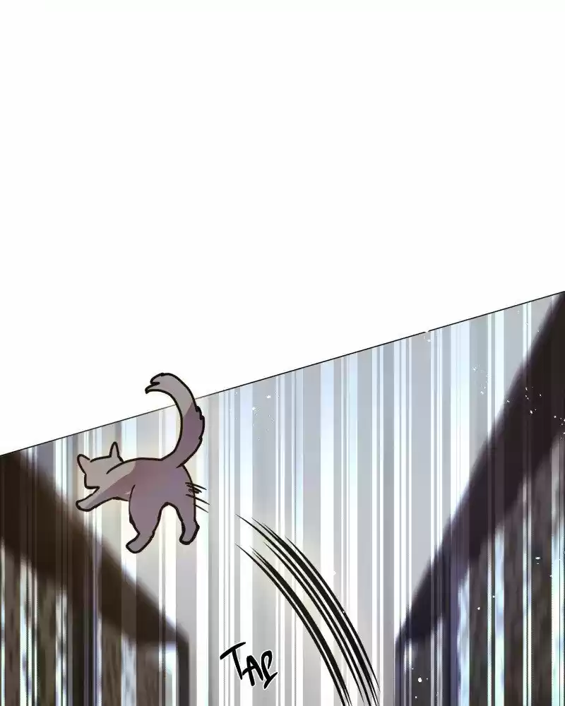 Rebirth-69Michi Chapter 103