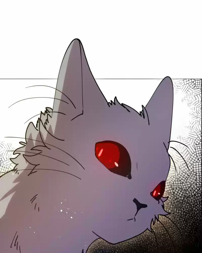 Rebirth-69Michi Chapter 103