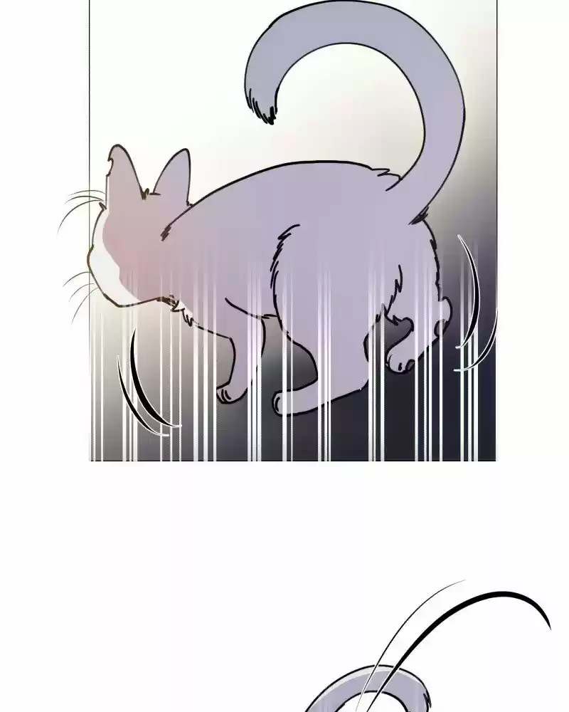 Rebirth-69Michi Chapter 106