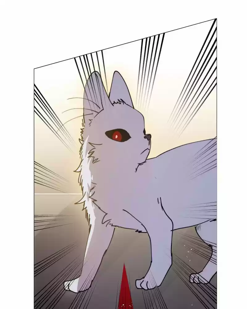 Rebirth-69Michi Chapter 106