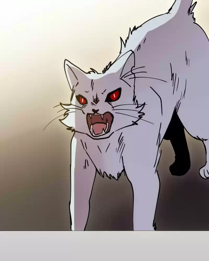 Rebirth-69Michi Chapter 107