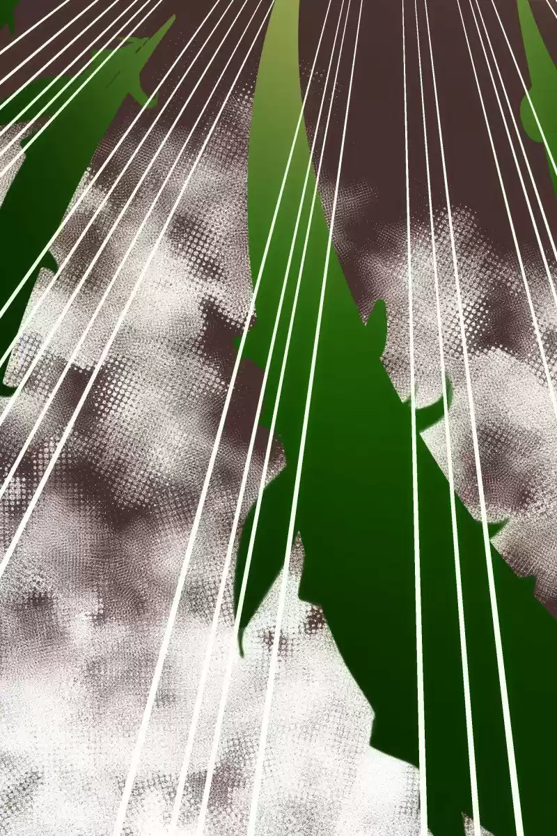 Rebirth-69Michi Chapter 117