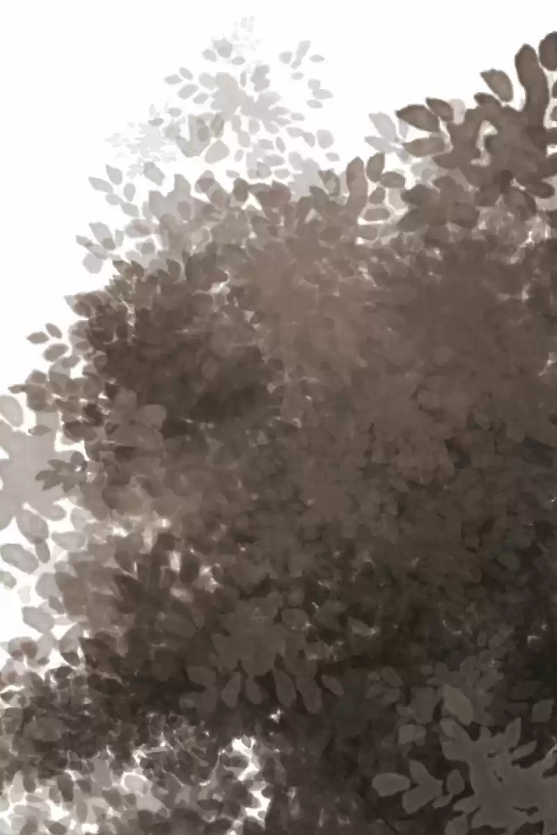 Rebirth-69Michi Chapter 117