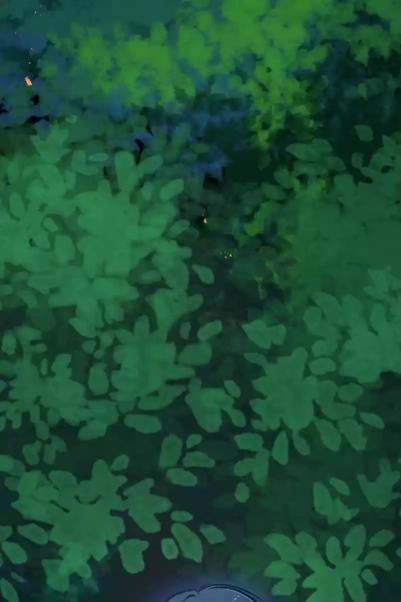 Rebirth-69Michi Chapter 124