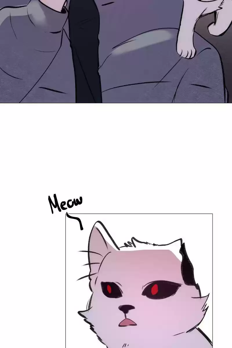 Rebirth-69Michi Chapter 146