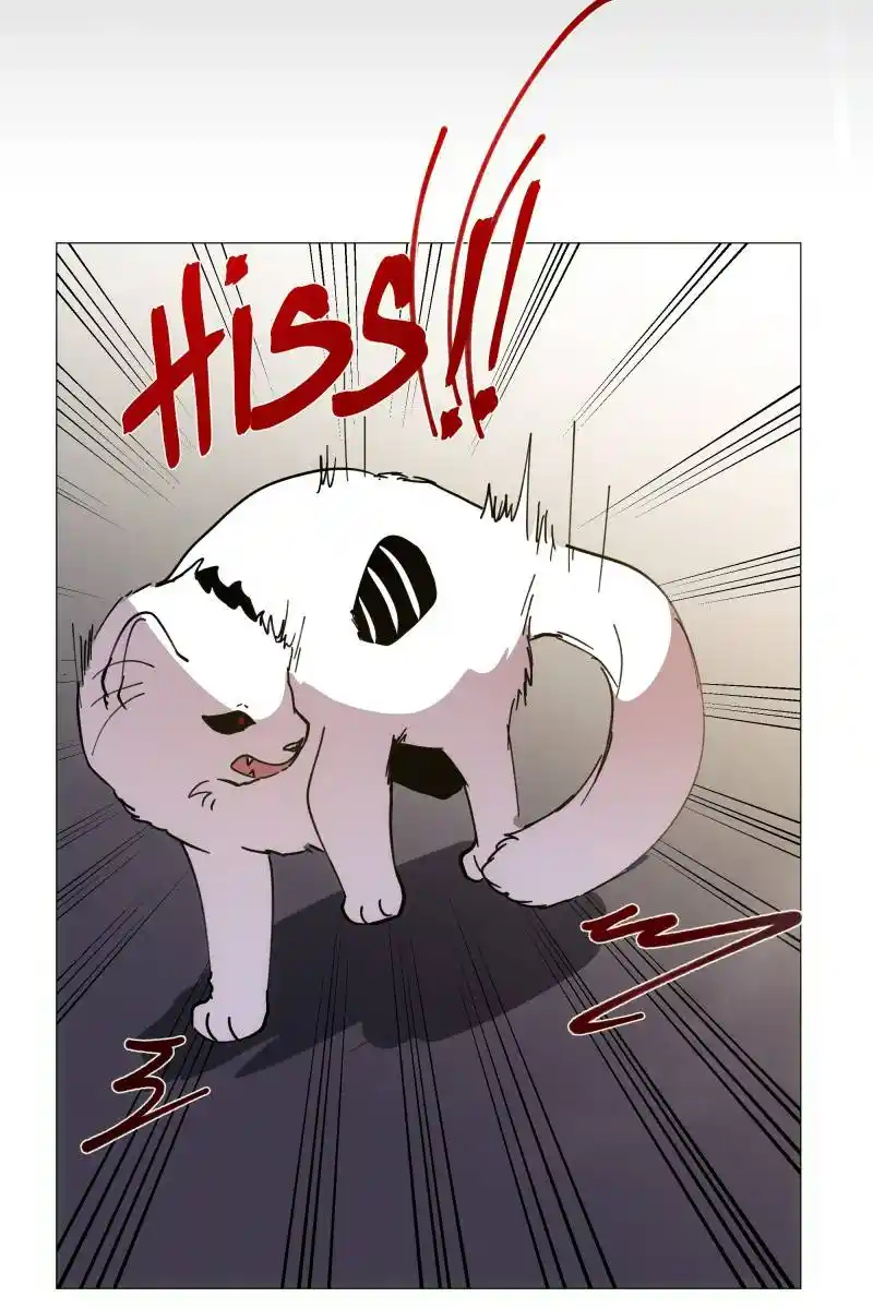 Rebirth-69Michi Chapter 167