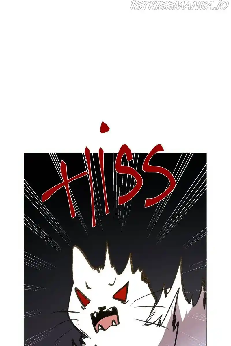 Rebirth-69Michi Chapter 168