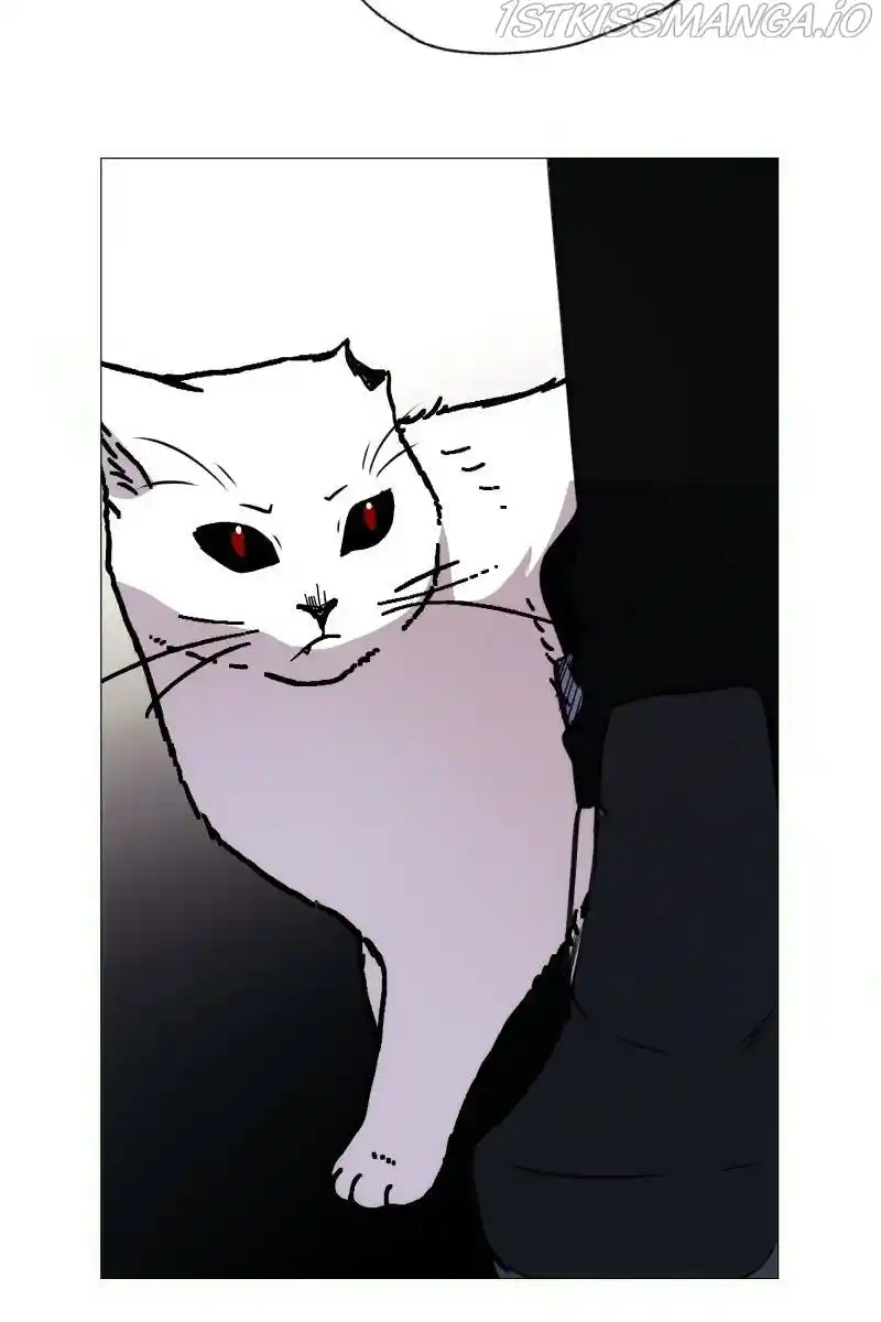 Rebirth-69Michi Chapter 168