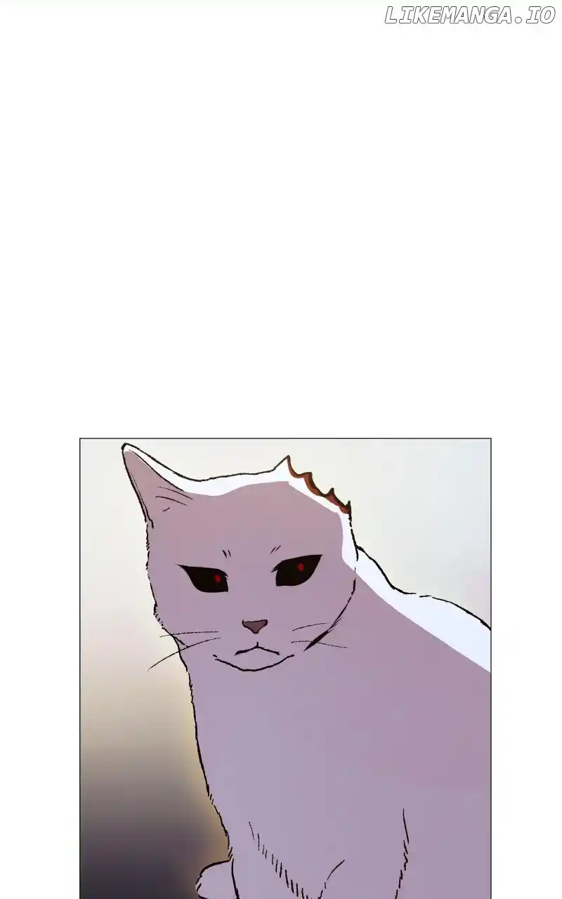 Rebirth-69Michi Chapter 217