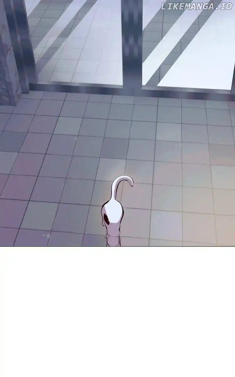 Rebirth-69Michi Chapter 217