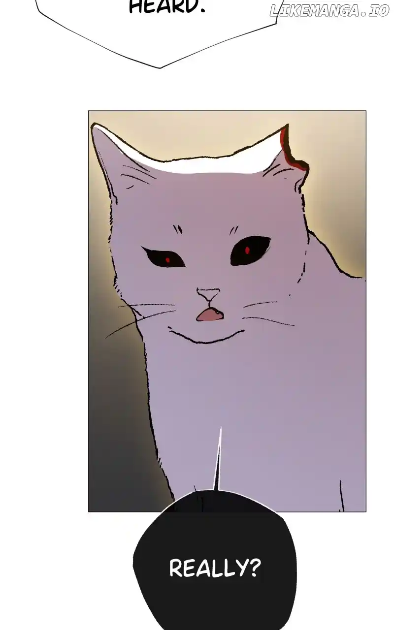 Rebirth-69Michi Chapter 217