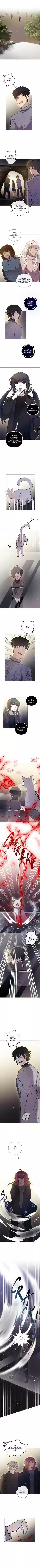 Rebirth Chapter 104