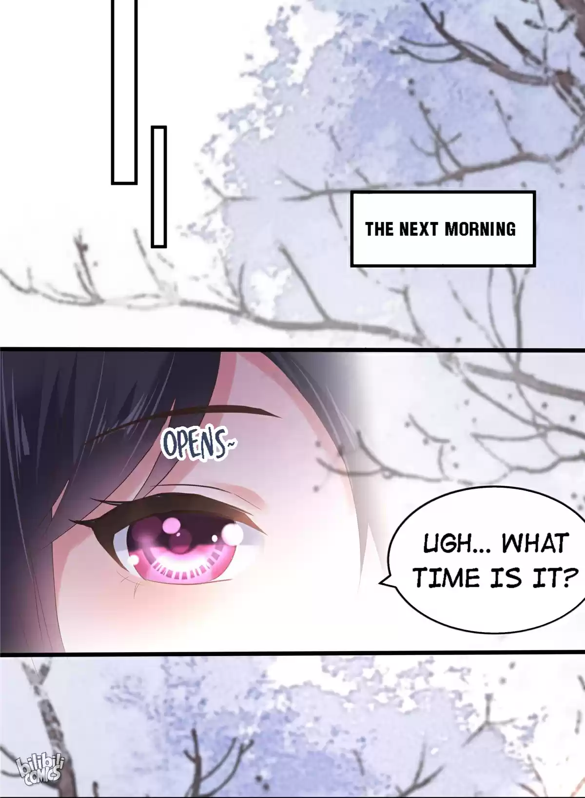 Rebirth: Giving You My Exclusive Affection Chapter 102: If I Met You Earlier