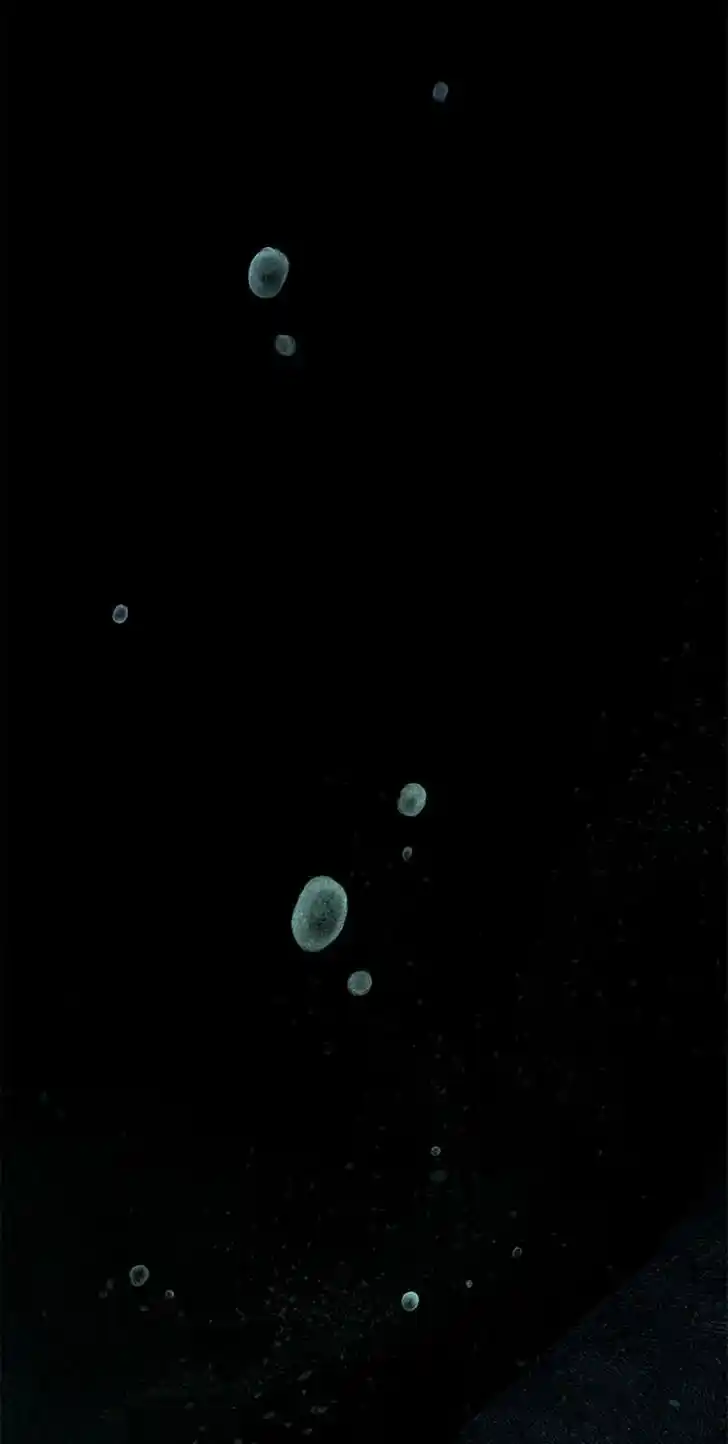 Rebirth in Paradise Ch.038