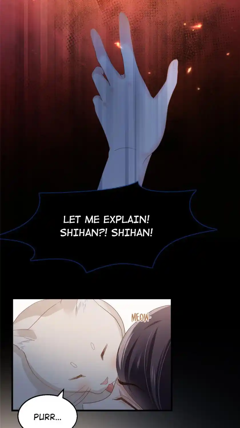 Rebirth Meeting: For You And My Exclusive Lovers Chapter 205