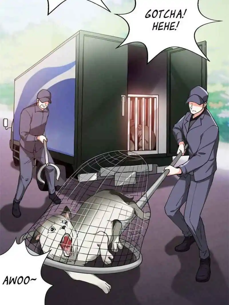 Rebirth Of The Godly Prodigal Chapter 13