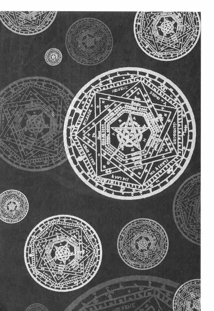 Rebirth Vol. 1 Ch. 5.1 Co Existing Enemies