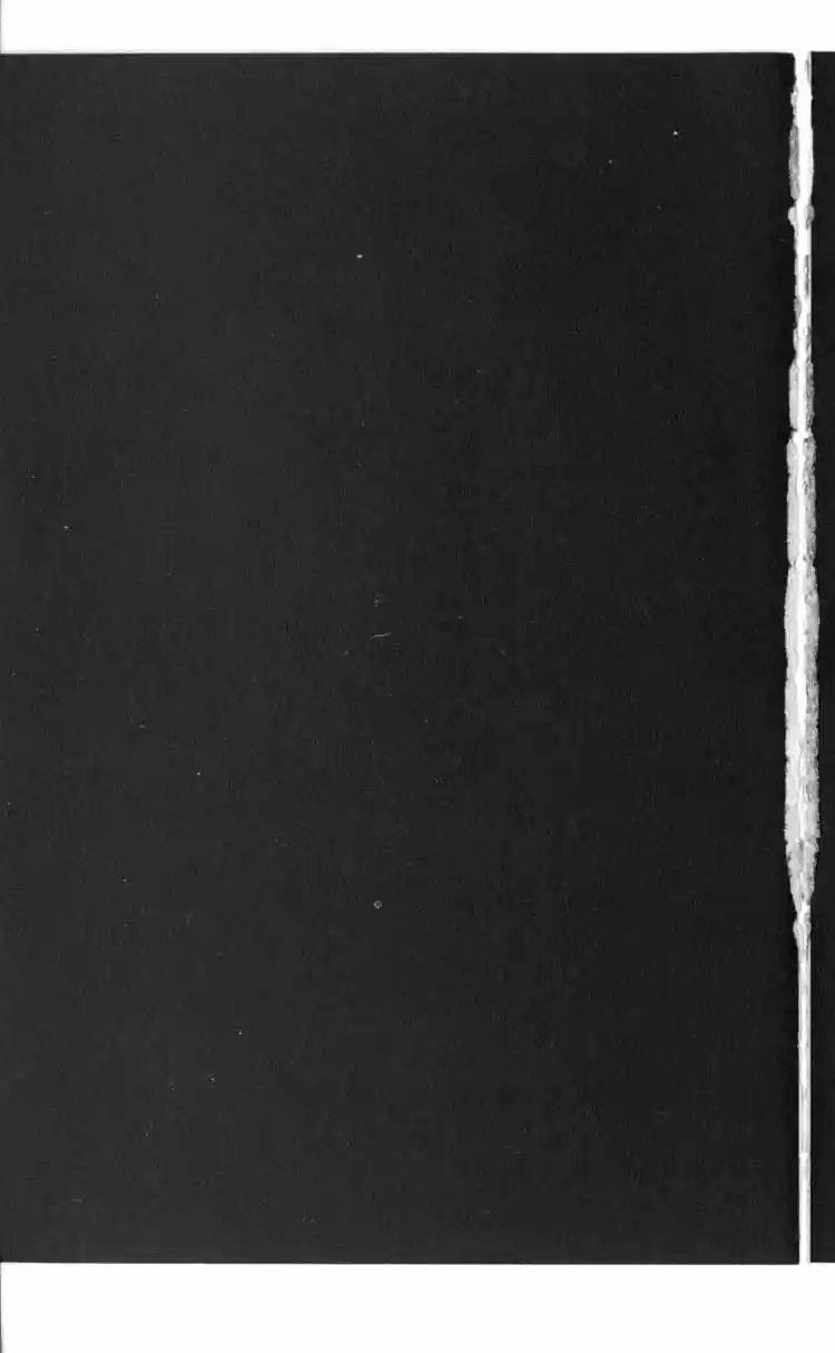 Rebirth Vol. 12 Ch. 47 Vengeance