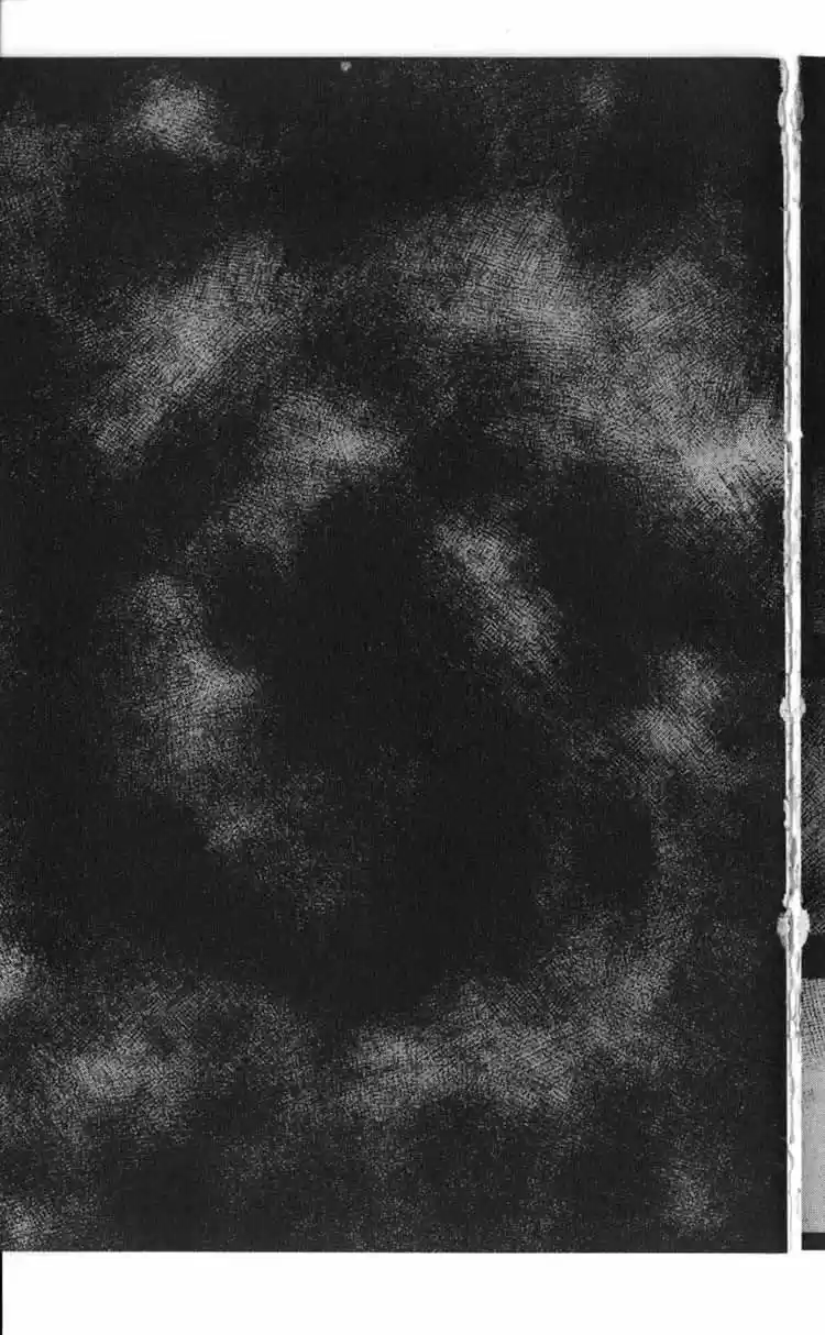 Rebirth Vol. 12 Ch. 47 Vengeance