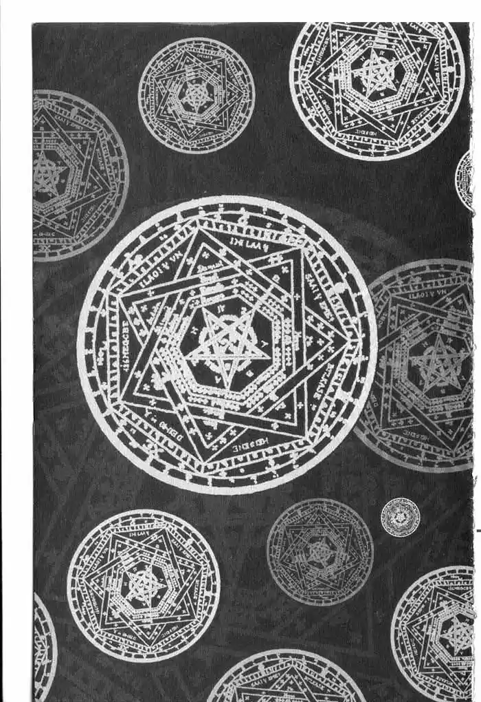 Rebirth Vol. 2 Ch. 5.2 Co Existing Enemies Part 2