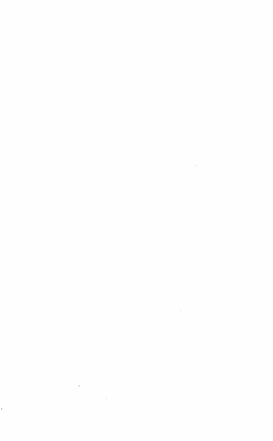 Rebirth Vol. 20 Ch. 82 Holy Mother of Light