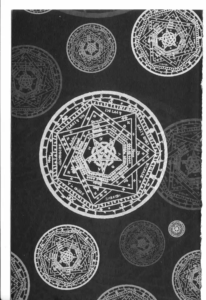 Rebirth Vol. 4 Ch. 13 Bernard's Trap