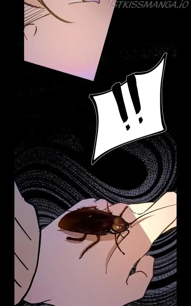 Rebirth Vol.25 Ch.179