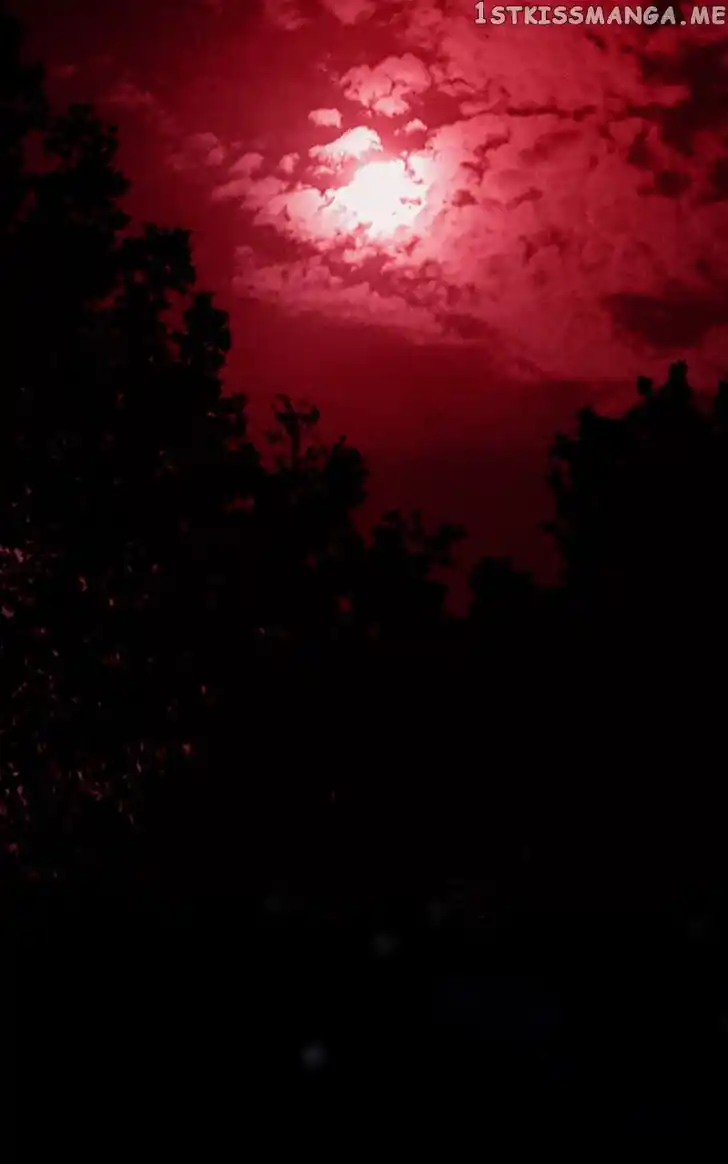 Rebirth Vol.25 Ch.186