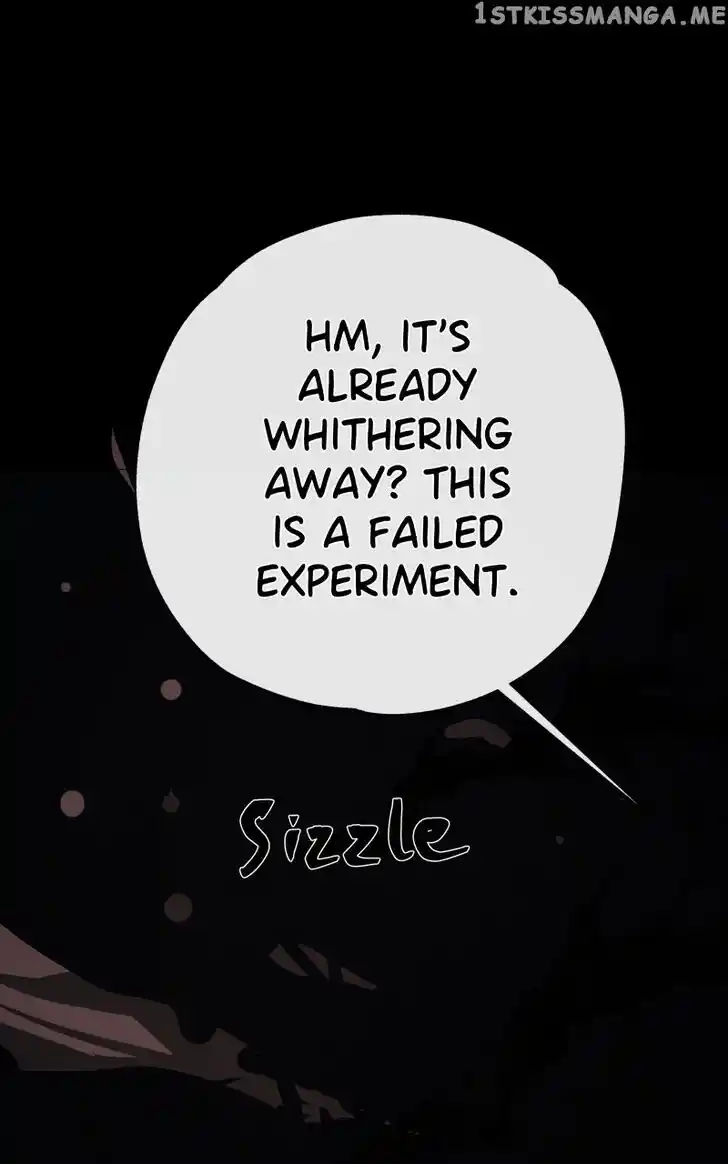 Rebirth Vol.25 Ch.190