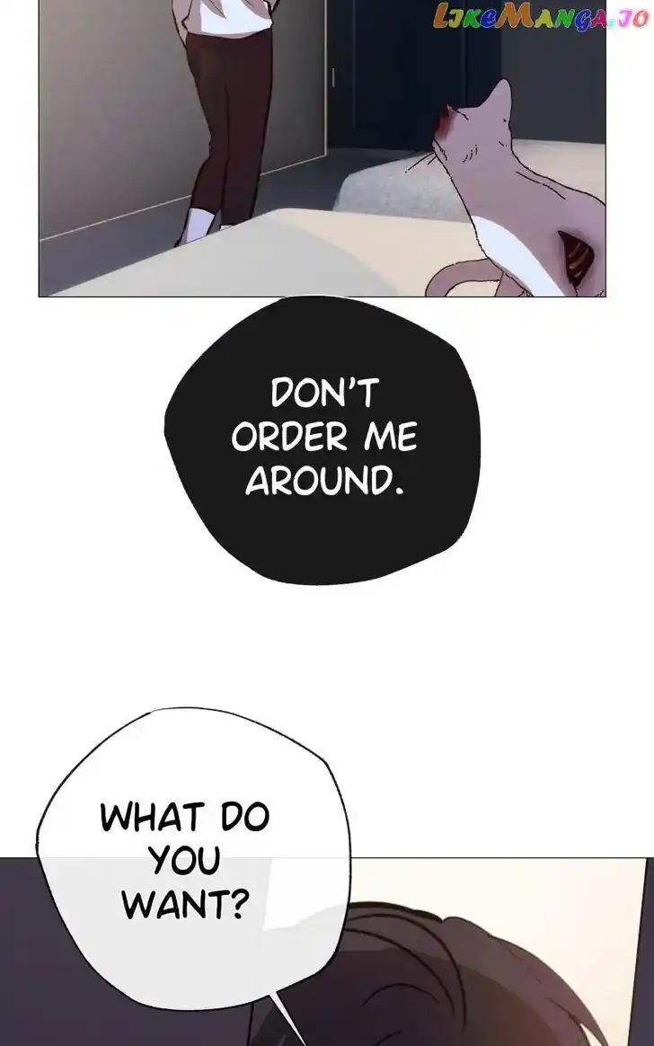 Rebirth Vol.25 Ch.203