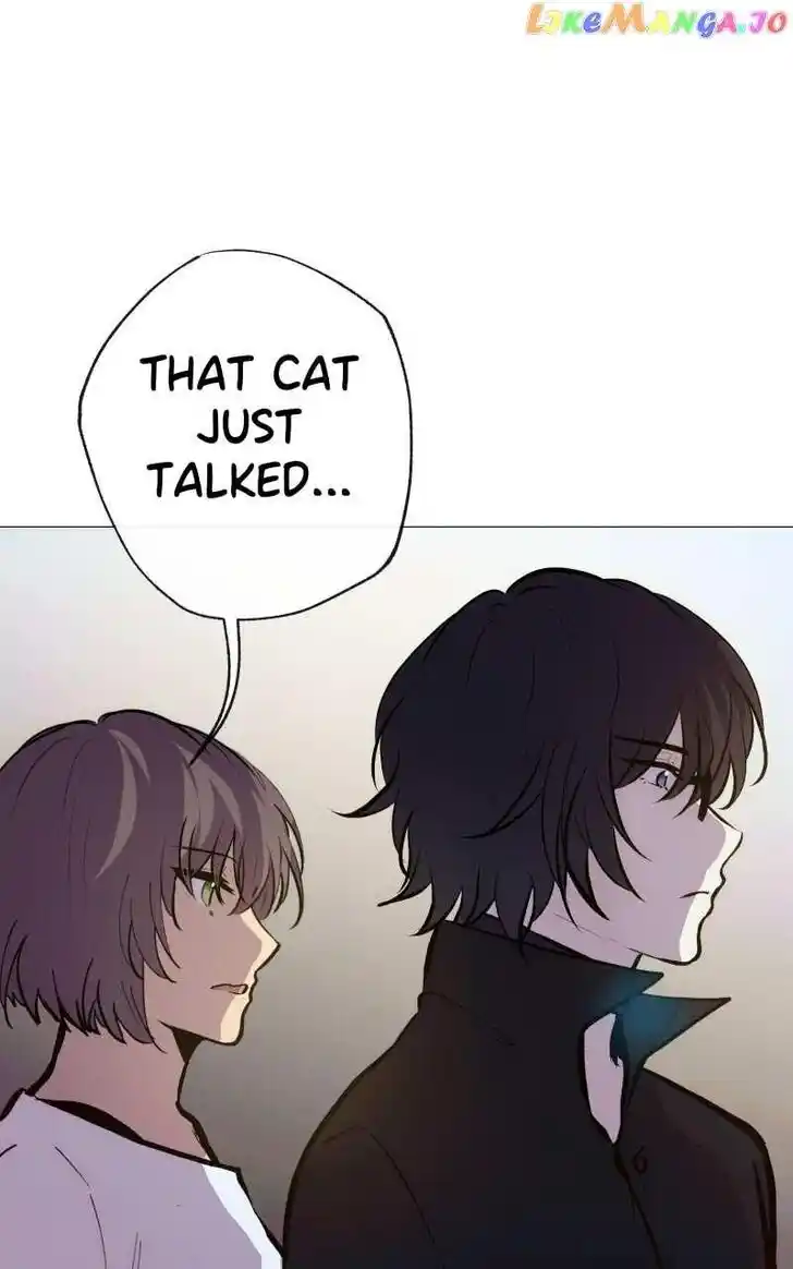 Rebirth Vol.25 Ch.203