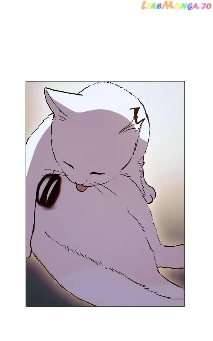 Rebirth Vol.25 Ch.206