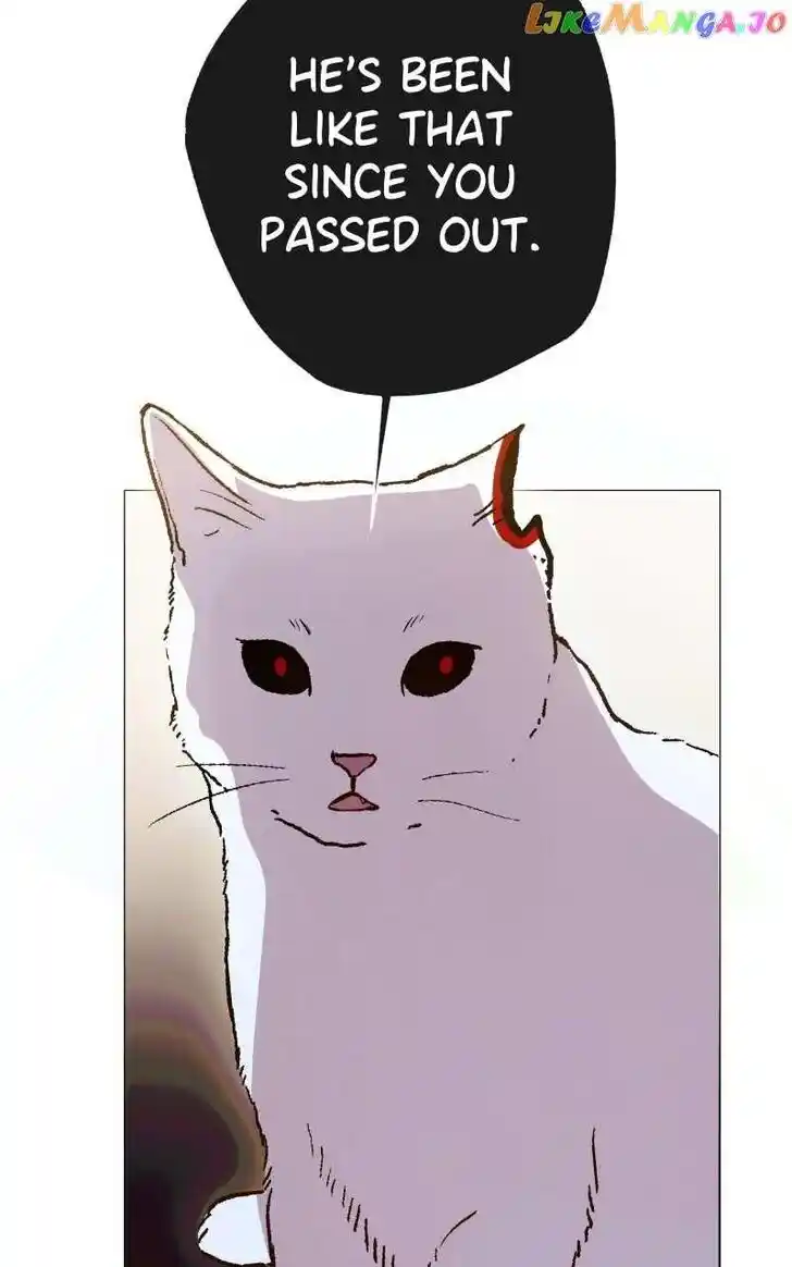 Rebirth Vol.25 Ch.206