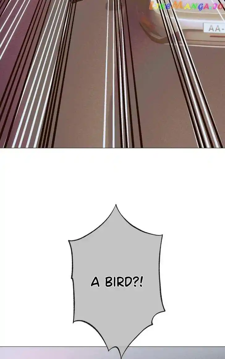 Rebirth Vol.25 Ch.208