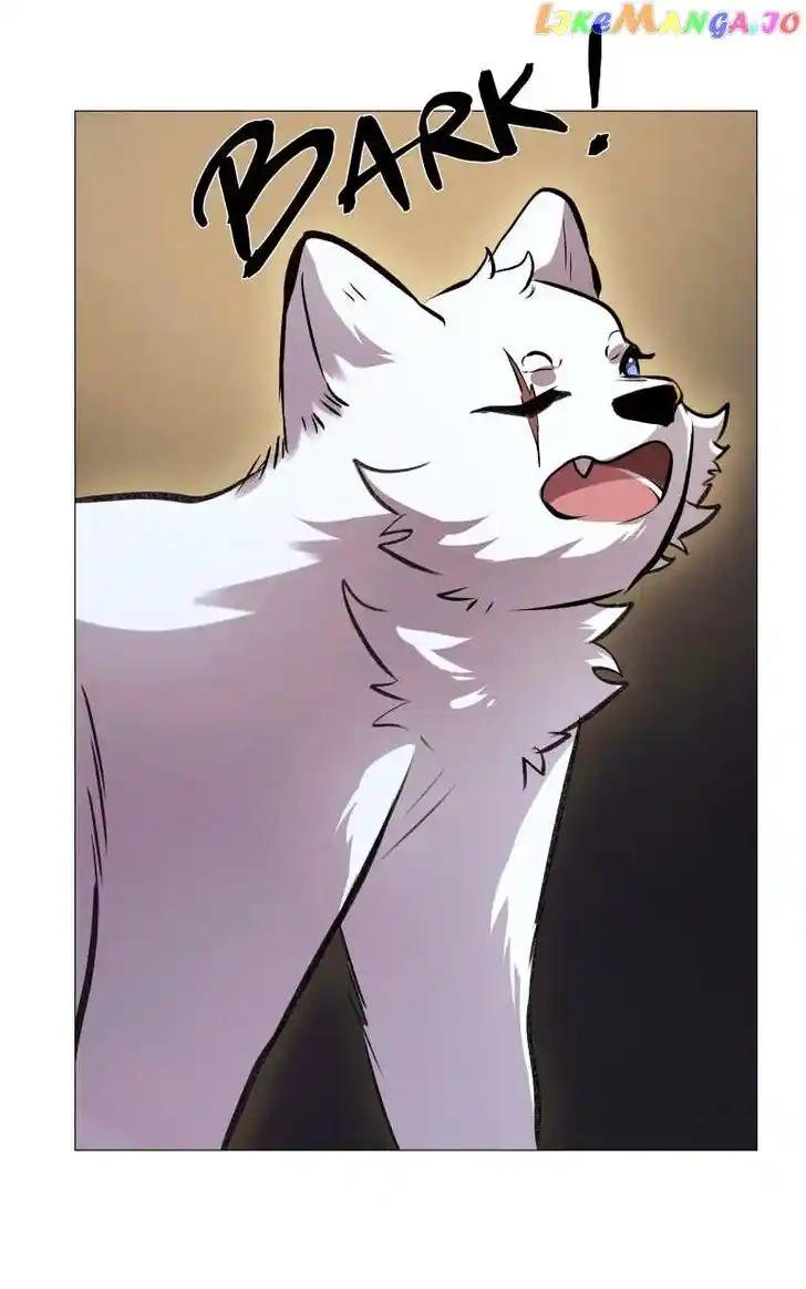 Rebirth Vol.25 Ch.211