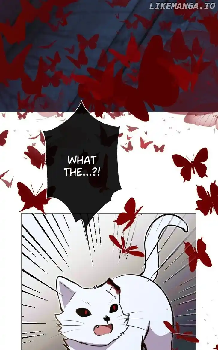 Rebirth Vol.25 Ch.243