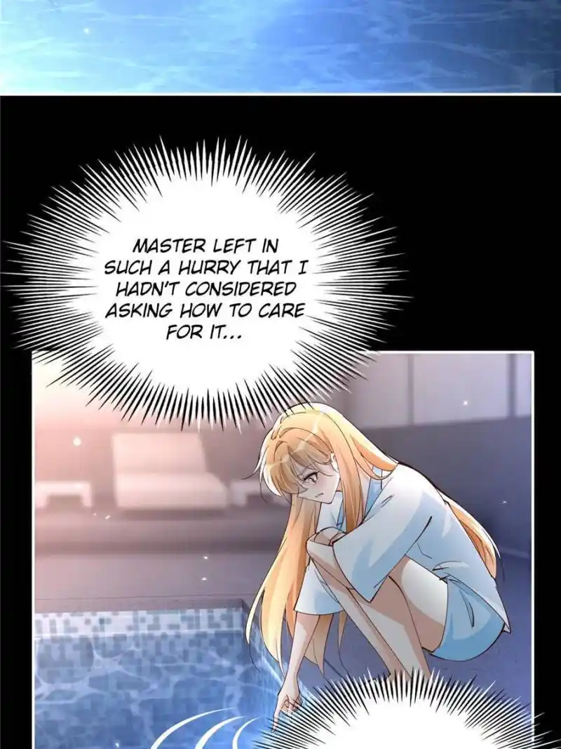 Reincarnation Of The Businesswoman At School Chapter 198